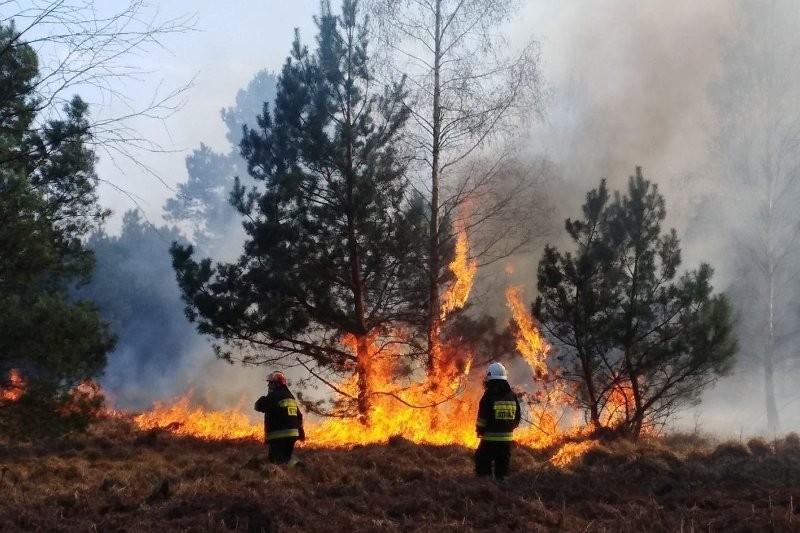 Nowa ulotka przeciwpożarowa